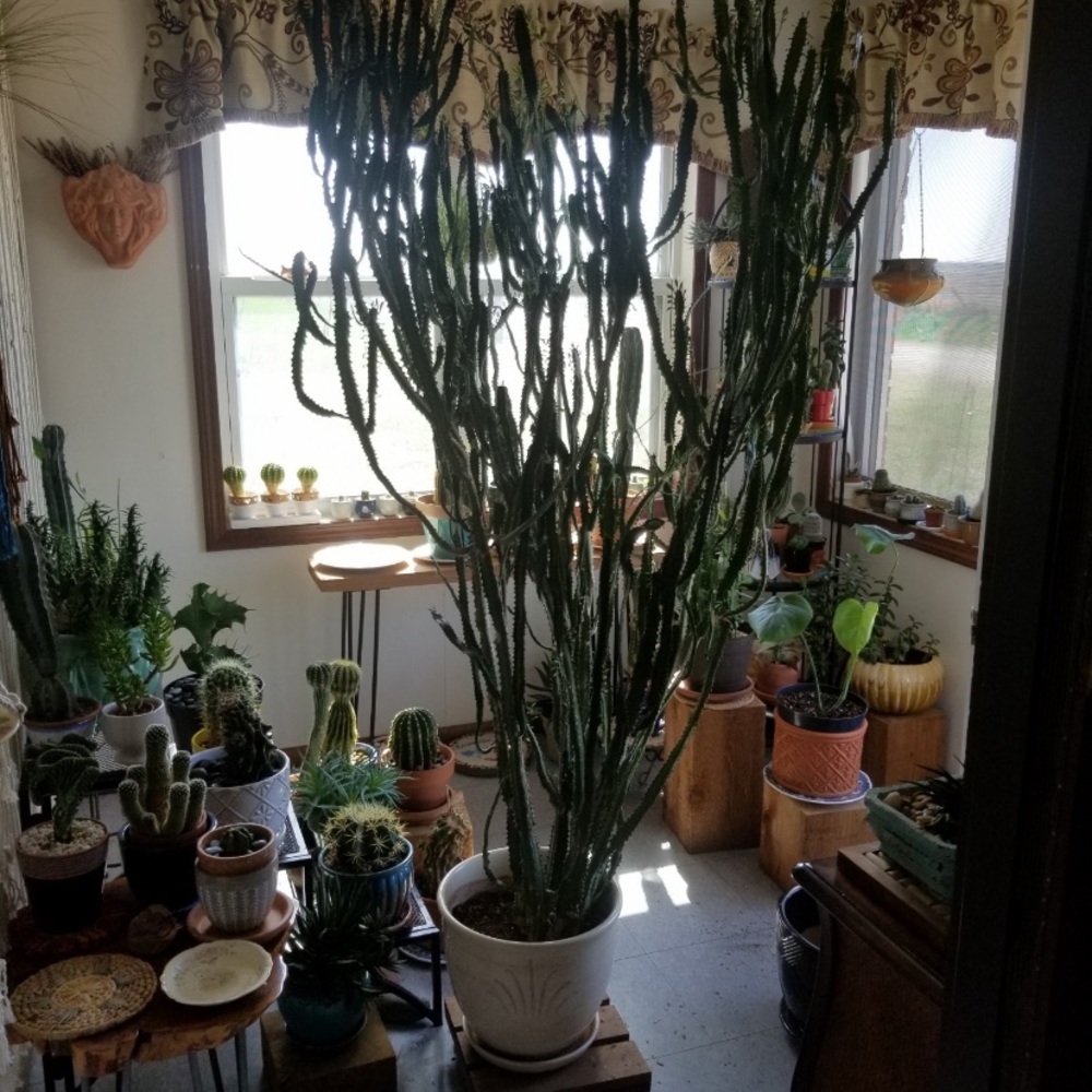 Meet your Posher, Vintage